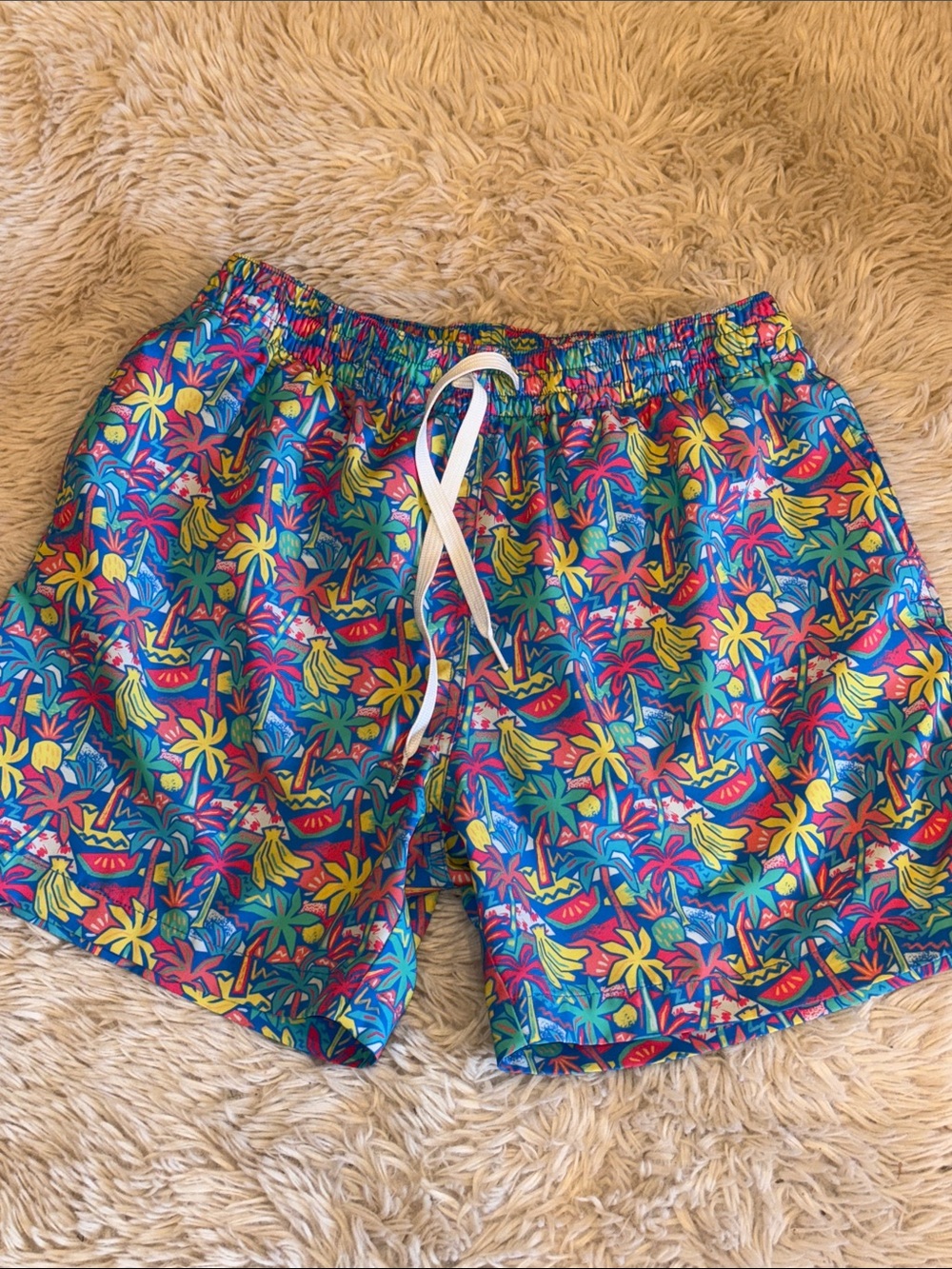 🌴🍌🏝️🍉 Men’s Medium Chubbies Swimsuit